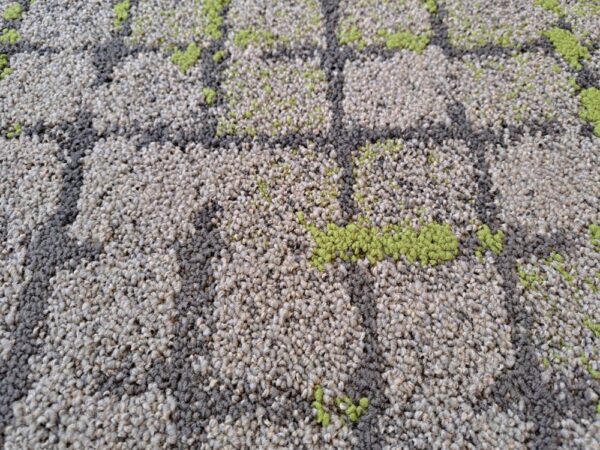 moss in stone w1 8340001, beige/groen